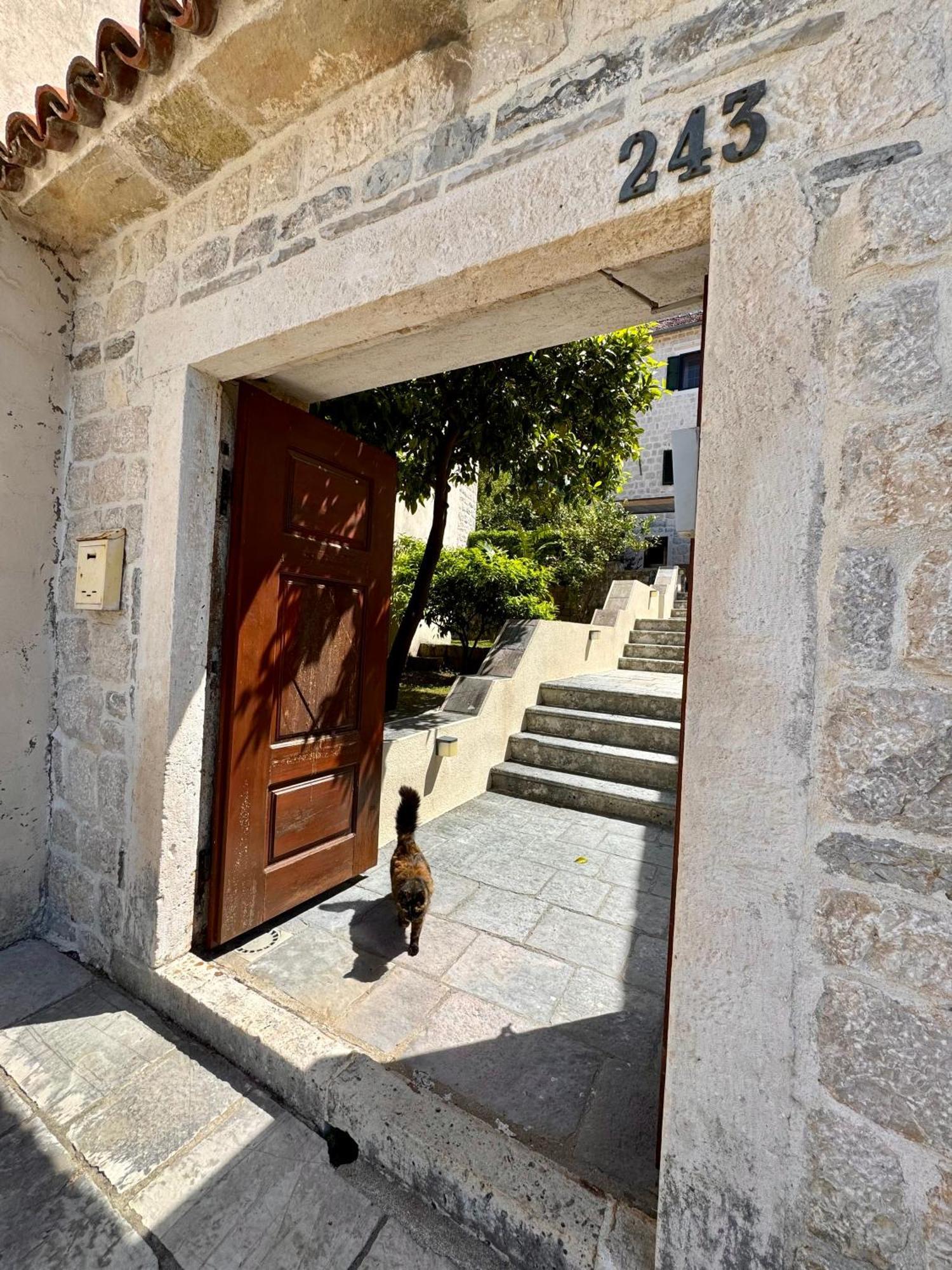 Apartments Radonicic Kotor Buitenkant foto